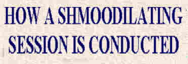 How an Shmoogling Session is Conducted